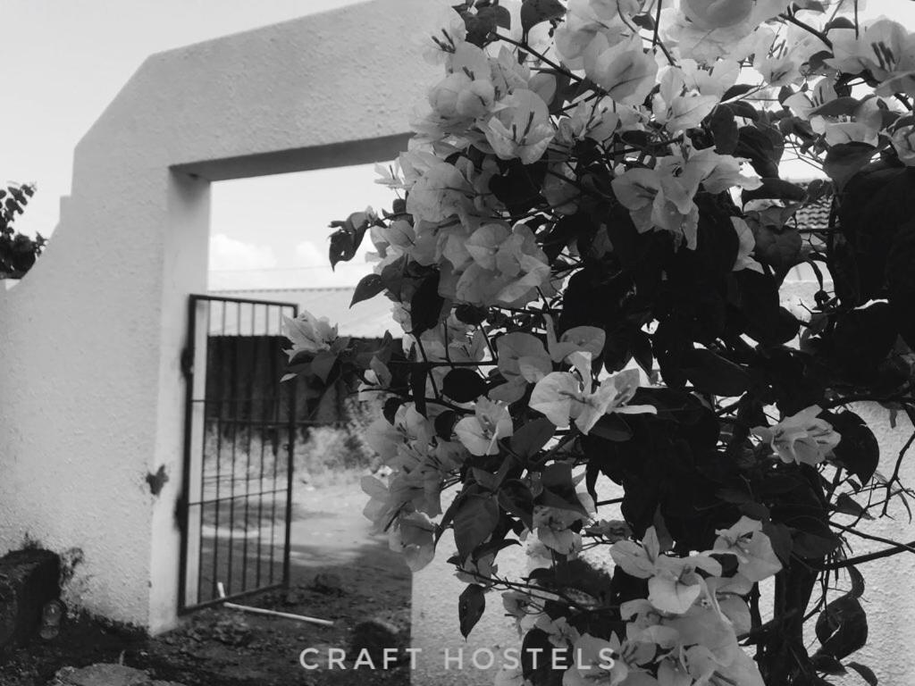 Craft Hostels Anjuna Zewnętrze zdjęcie